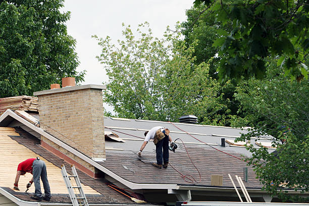 Roof Gutter Cleaning in Snellville, GA